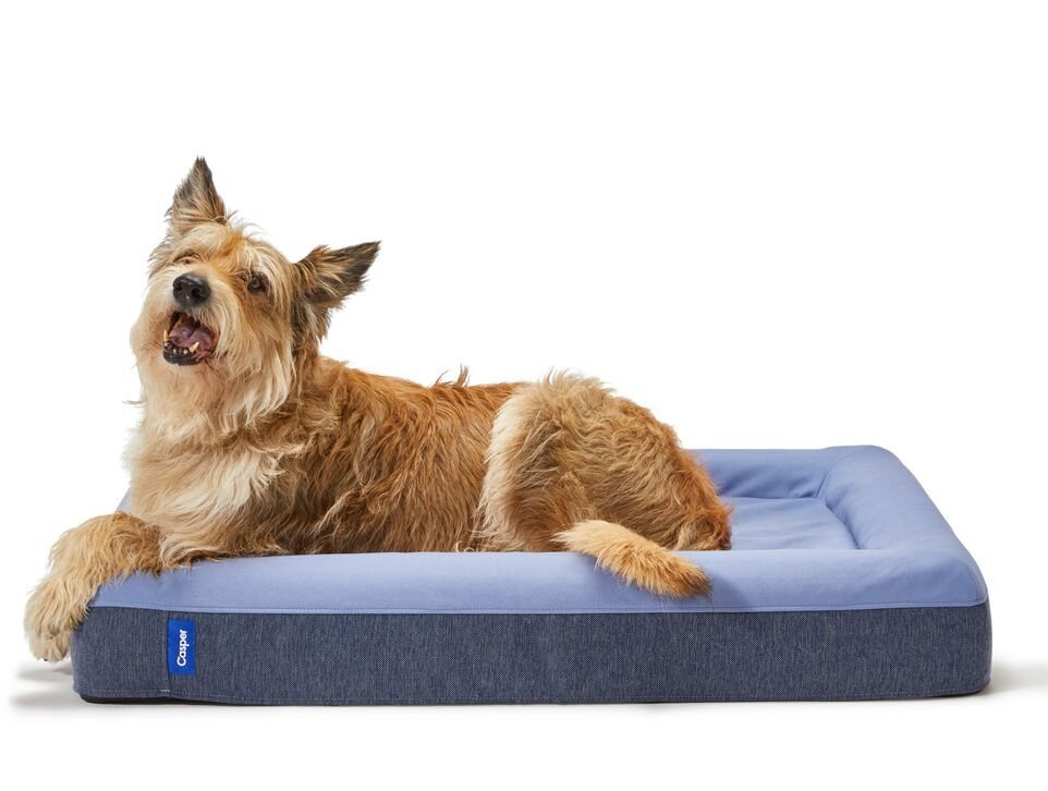 Casper Dog Bed product photo