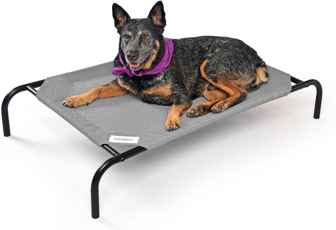 Coolaroo Original Elevated Dog Bed product photo