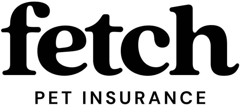 Fetch Accident & Illness product photo