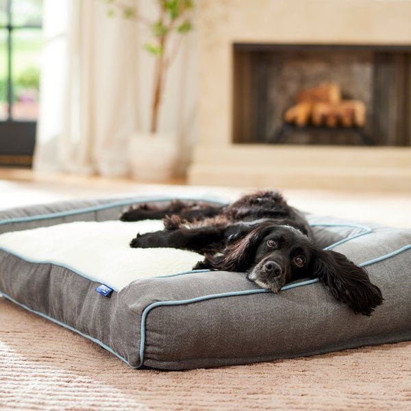 Frisco Orthopedic Sofa Dog Bed product photo