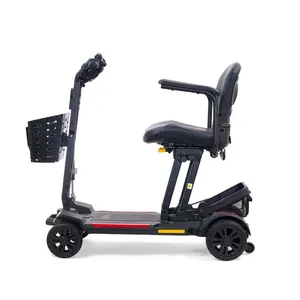 Golden Technologies BuzzAround CarryOn