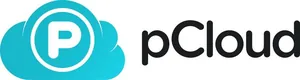 pCloud Premium Plus (2 TB)