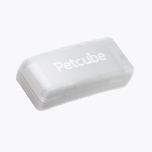 Petcube GPS Tracker product photo