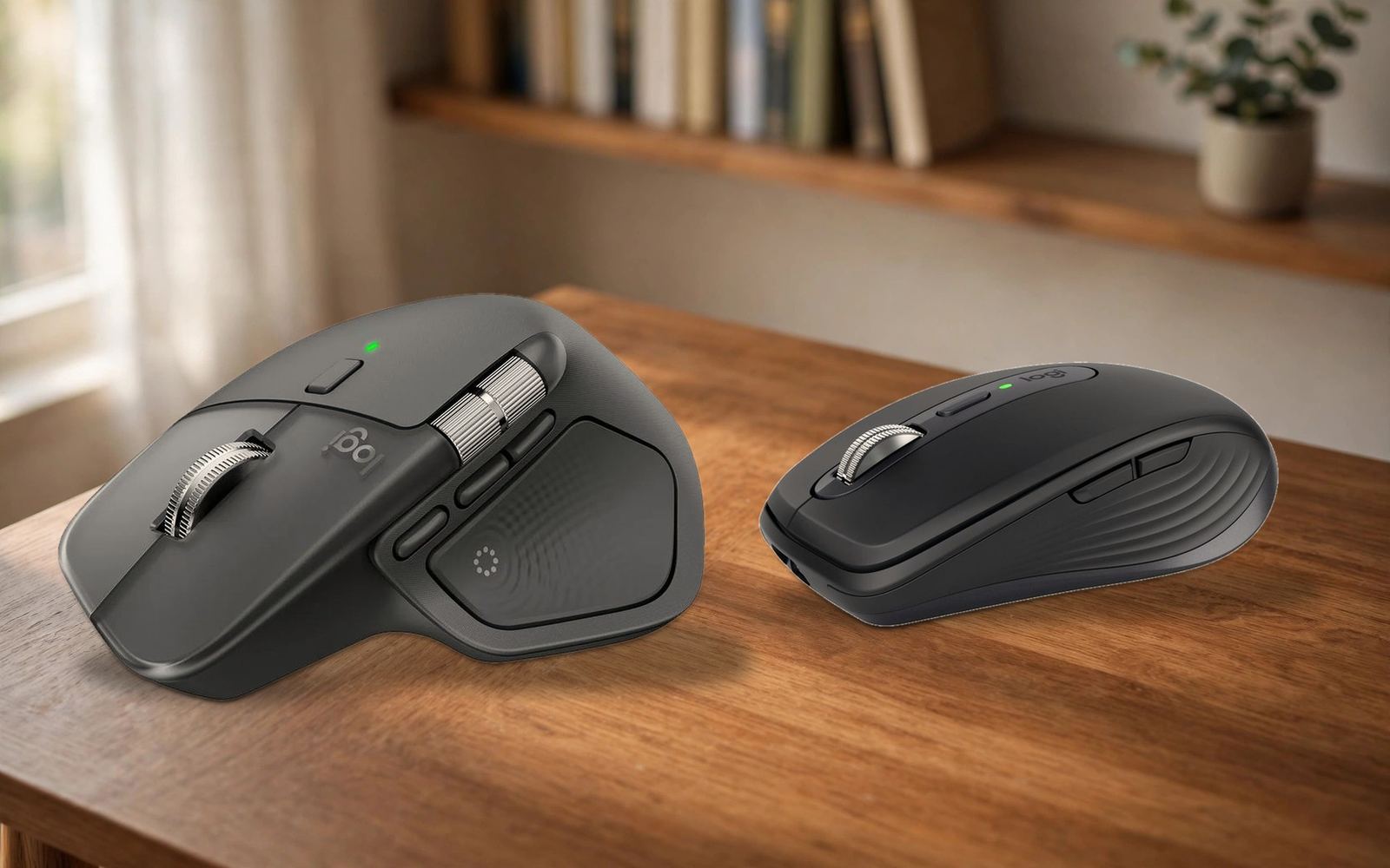 The Office Mice winners together: the number one pick and the AmRank Top Pick